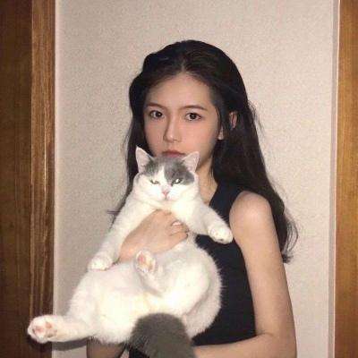 群英猛将传游戏下载